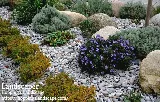 Hopping's Landscape photo 3
