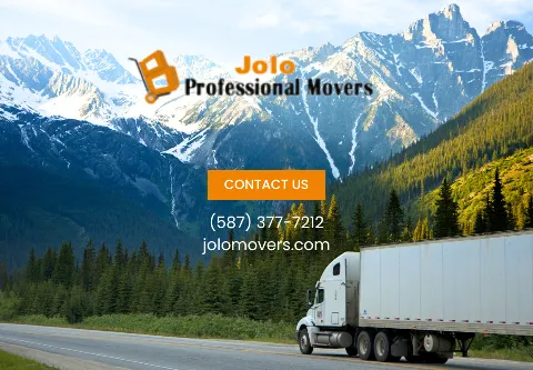 JOLO Professional Movers photo 1