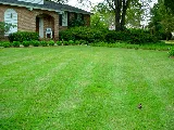 CJS Landscaping photo 7
