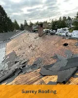 Paragon Roofing BC