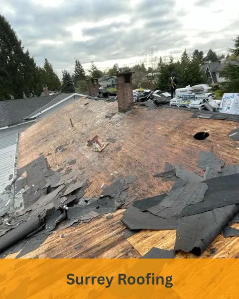 Paragon Roofing BC photo 1