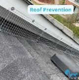 GottaGo Pest Control photo 3