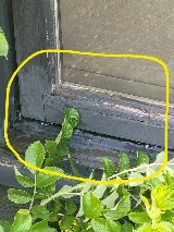Pestend Pest Control Vaughan photo 5