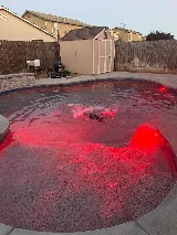Premier Pools & Spas photo 5