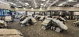 Carpet Exchange photo 5