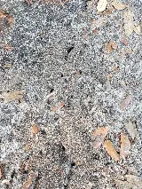 Liberty Pest Management photo 7