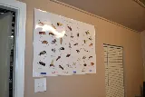 Advantage Pest Control photo 7