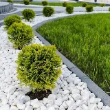 Semper Fi Landscaping & construction photo 6