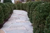 Colandro & Imbrogno Masonry, LLC