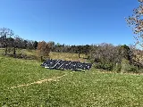 Tiger Solar photo 7