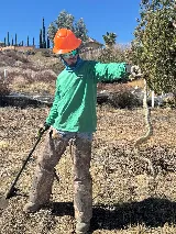 Erik's Tree Service & Brush Clearance photo 5