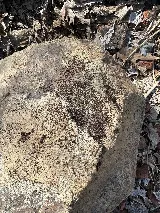 Summit Integrated Pest Management photo 5