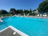 Clearwater Pool Management photo 7