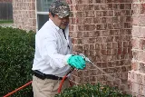 Absolute Pest Management photo 5