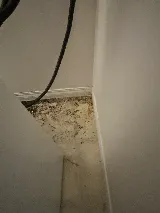 Elogyx Pest Solutions Inc. photo 6