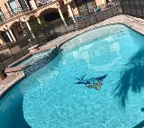 Easy Pool Remodel