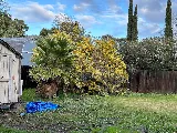John's Good Landscaping Services photo 5
