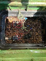 Insight Pest Solutions photo 7
