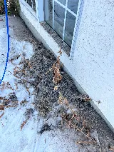 Lose the lint dryer vent cleaning photo 8