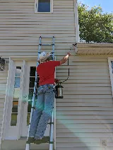 Lady Bugs All Pest Solutions photo 4