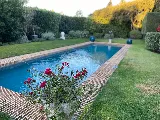 Crystal Clear Pools photo 8