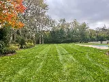 E Landscaping LLC photo 4