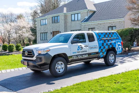 Agile Pest Control in Elizabeth
