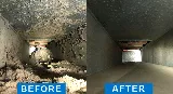 Healthy Home Pest Control & Services