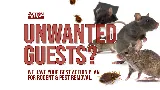 Action Pest Control Services