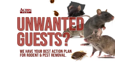 Action Pest Control Services photo 1