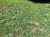 J&R Lawn And Landscape LLC photo 7
