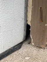Pestline - Pest Control Vaughan photo 7