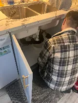 Environmental Plumbing photo 5