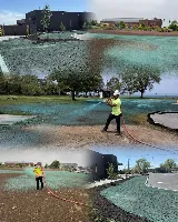Landscape Associate of WNY photo 4