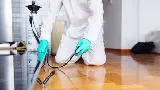Acme Pest Solutions