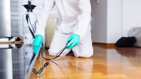 Acme Pest Solutions in Oakville