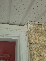 Abell Pest Control photo 5