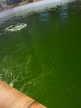 RC Pool Services photo 4