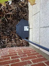 Bugman Pest Control photo 5