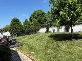 Colin Cutz and Landscaping photo 8