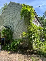 Up Landscaping LLC photo 5