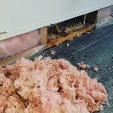 Cooper Pest & Wildlife Solutions photo 5