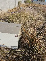 Enterprise Pest & Weed Services photo 6