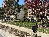 Colin Cutz and Landscaping photo 5