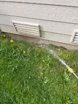 Bulwark Exterminating photo 8