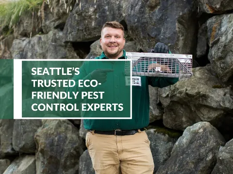 Parker Eco Pest Control photo 1