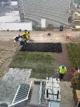 LVM Landscaping photo 7