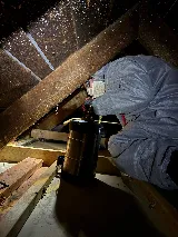 A.P. Pest Control photo 6