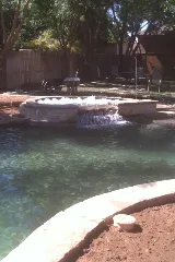 Swimming Pools of Lubbock photo 8