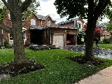 Luxe Landscape & Construction photo 2